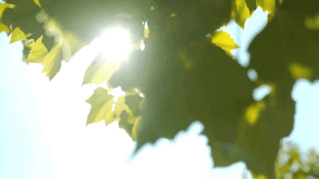 DƬ